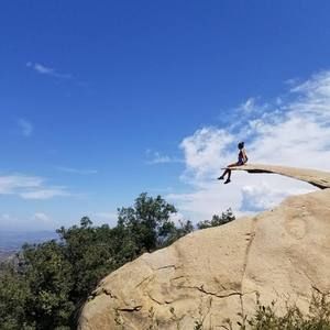 Meet your Posher, Abigail